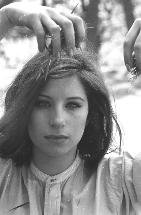 Framed Print : Barbra Streisand In Central Park Framed Print : Barbra Streisand In Central Park
