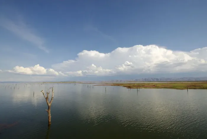 Framed Print : Bare Tree, Cloud, Horizon Over Land, Lake, Lake Kariba, Landscape, Mashonaland, Matusadona Framed Print : Bare Tree, Cloud, Horizon Over Land, Lake, Lake Kariba, Landscape, Mashonaland, Matusadona