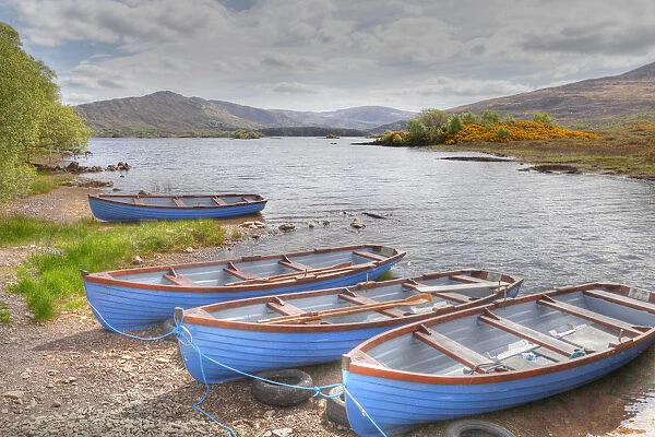 Barges, Cloonee Lakes, Cloonee Loughs, Beara Peninsula, County Kerry, Ireland, British Isles, Europe
