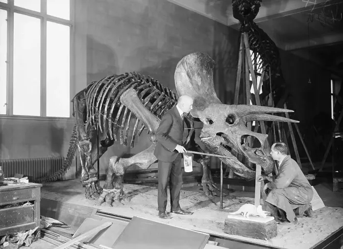 Framed Print : Barnum Brown, Charles Lang / Dino Skeleton Framed Print : Barnum Brown, Charles Lang / Dino Skeleton