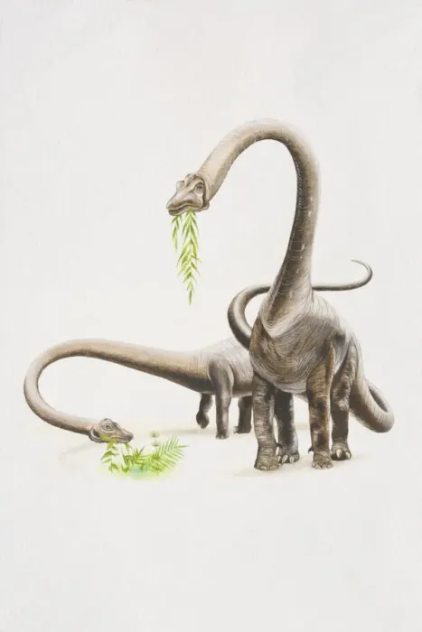 Framed Print : Two Barosaurs eating plants, front view Framed Print : Two Barosaurs eating plants, front view