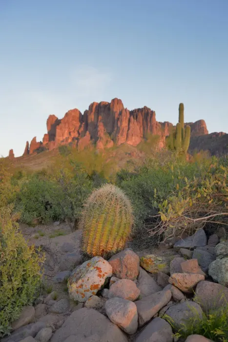 Framed Print : Barrel Cactus in front of Superstition Mountains, Lost Dutchman State Park, Arizona, USA