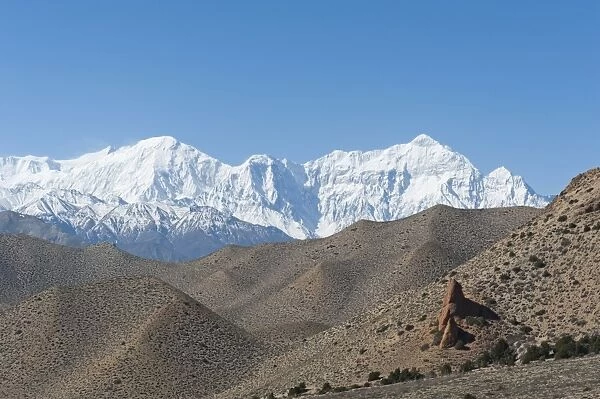Barren hilly landscape, the snow-covered Mt Nilgiri North, 7061 m, at back, Annapurna Range near Samar, Upper Mustang, Lo, Nepal