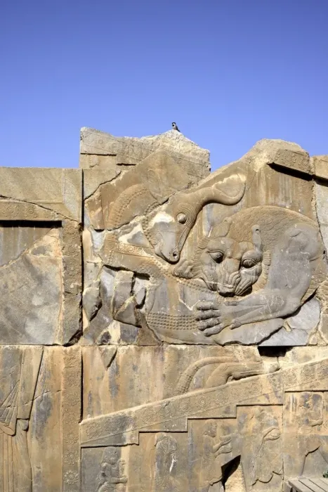 Framed Print : Bas-relief of lion devouring bull, Persepolis Framed Print : Bas-relief of lion devouring bull, Persepolis