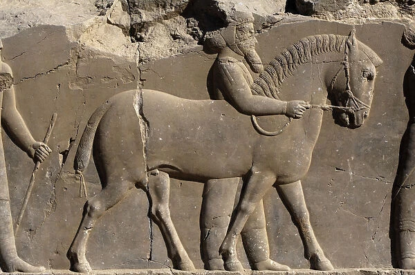 Bas-relief in Persepolis, Iran