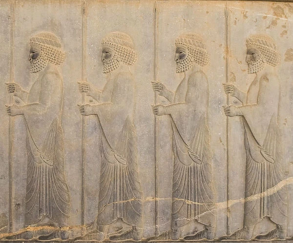 Bas reliefs, Persepolis, Fars Province, Iran