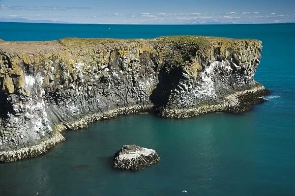 Basalt columns, cliffs on the coast near Arnarstapi, Breioavik Bay, Breidavik, Snaefellsnes peninsula, Snaefellsnes, Iceland, Europe