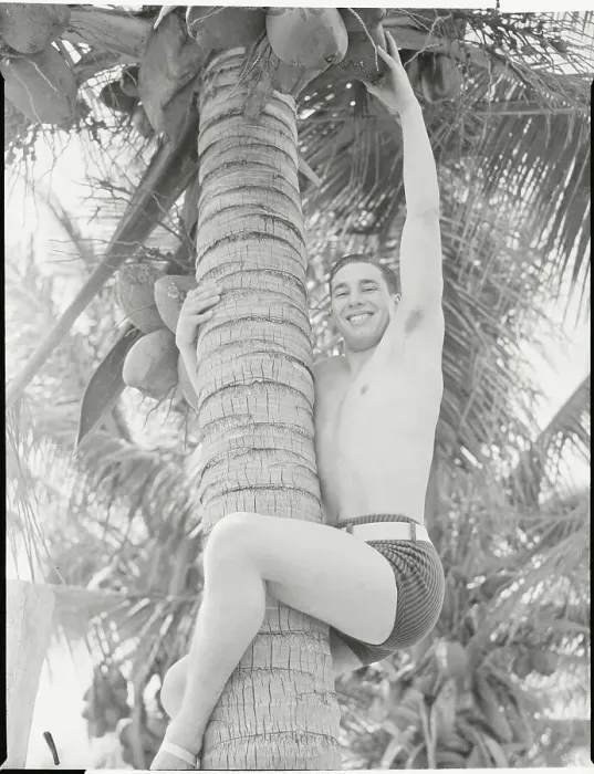 Framed Print : Baseball Favorite Bob Feller Climbing Coconut Tree Framed Print : Baseball Favorite Bob Feller Climbing Coconut Tree