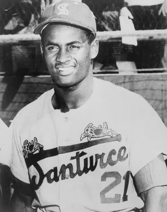 Framed Print : Baseball Player Roberto Clemente Framed Print : Baseball Player Roberto Clemente