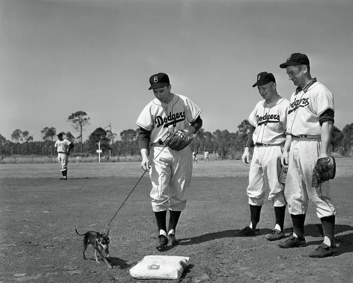 Framed Print : Baseball Players Lead Pet Dog Around Bases Framed Print : Baseball Players Lead Pet Dog Around Bases