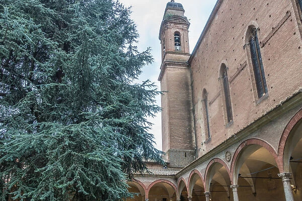 Basilica of San Francesco, Siena, Italy