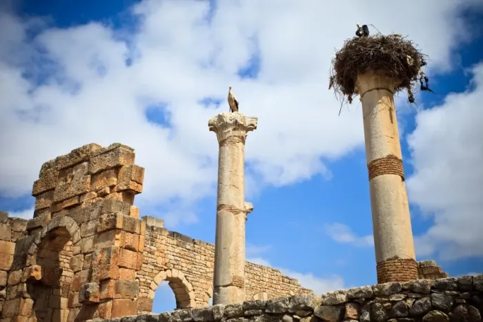 Framed Print : The basilica at Volubilis Framed Print : The basilica at Volubilis