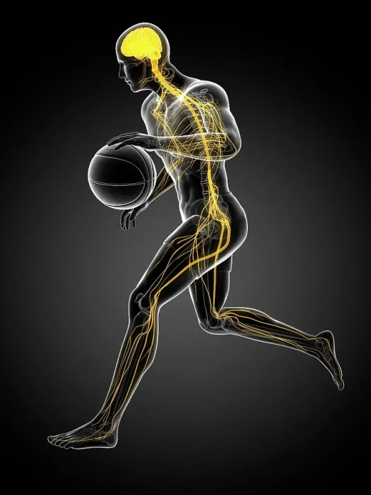 Framed Print : Basketball player, artwork Framed Print : Basketball player, artwork