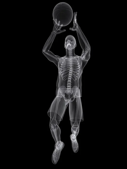 Framed Print : Basketball player, artwork Framed Print : Basketball player, artwork