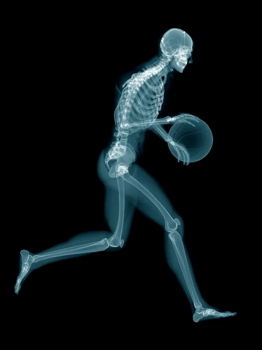 Framed Print : Basketball players skeletal structure, illustration Framed Print : Basketball players skeletal structure, illustration