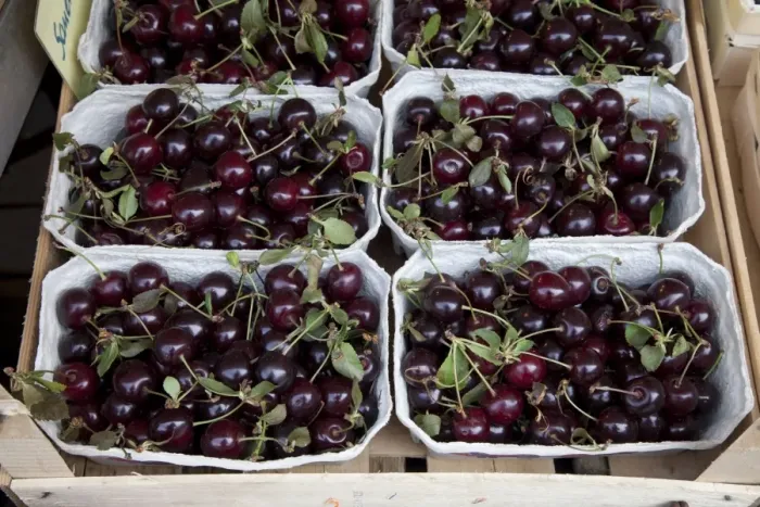Framed Print : Baskets of cherries at a market stall Framed Print : Baskets of cherries at a market stall