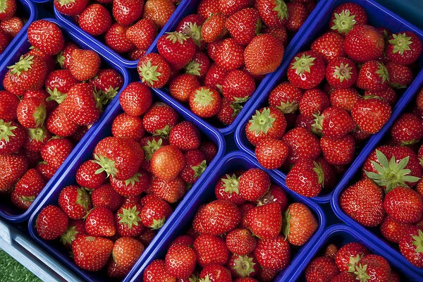 Baskets of strawberries at a market stall