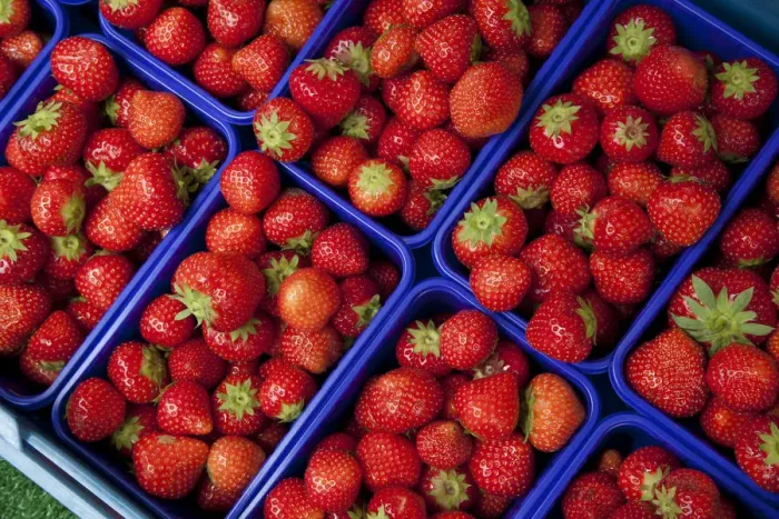 Framed Print : Baskets of strawberries at a market stall Framed Print : Baskets of strawberries at a market stall