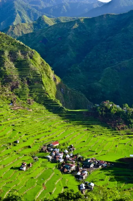 Framed Print : Batad Rice Terraces Framed Print : Batad Rice Terraces