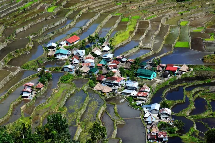 Framed Print : Batad rice terraces Philippines Framed Print : Batad rice terraces Philippines