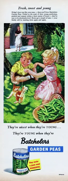 Framed Print : Batchelors Garden Peas Framed Print : Batchelors Garden Peas