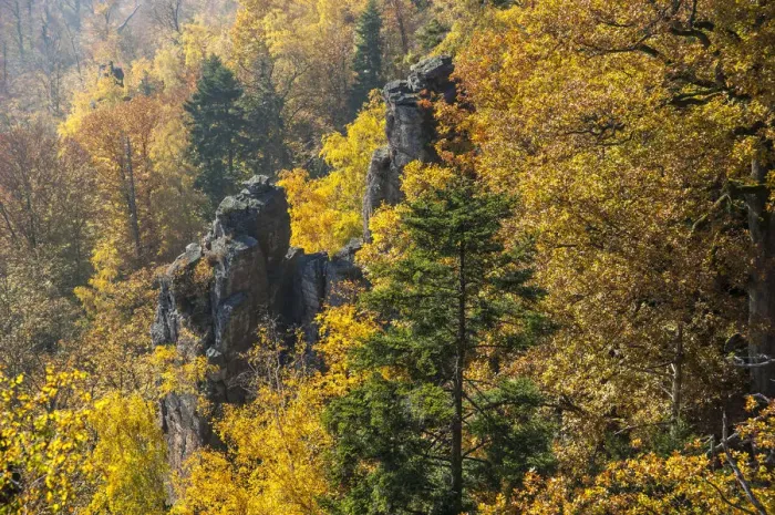 Framed Print : Battertfelsen rocks in autumn, Battert mountain, Schwarzwald, Baden-Baden, Baden-Wurttemberg, Germany Framed Print : Battertfelsen rocks in autumn, Battert mountain, Schwarzwald, Baden-Baden, Baden-Wurttemberg, Germany