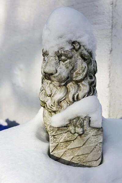 Bavarian stone lion in the snow, Munich, Bavaria, Germany, Europe