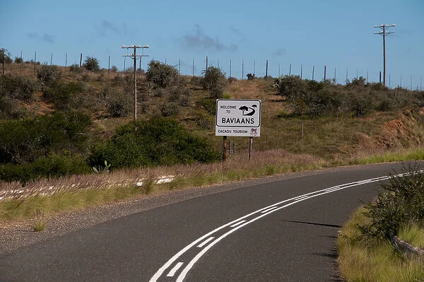baviaans kloof, billboard, color image, country road, curve, day, eastern cape, field