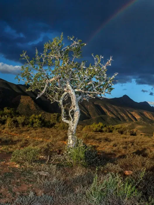 Framed Print : Baviaanskloof Mega Reserve, Beauty In Nature, Color Image, Day, Eastern Cape, Landscape
