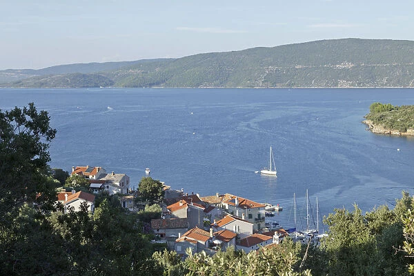 Bay, coast, Valun, Island of Cres, Kvarner Gulf, Croatia