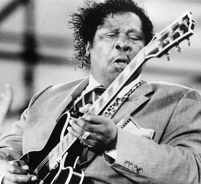Framed Print : B.B. King Performing at Farm Aid Framed Print : B.B. King Performing at Farm Aid