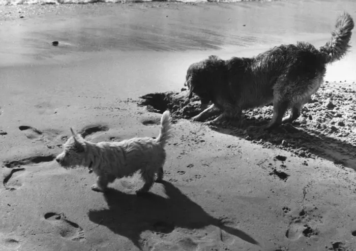 Framed Print : On The Beach Framed Print : On The Beach