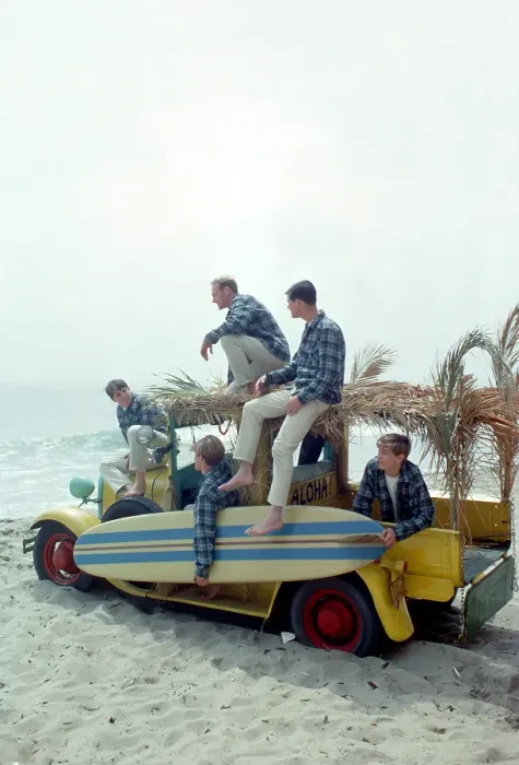 Framed Print : Beach Boys At The Beach Framed Print : Beach Boys At The Beach