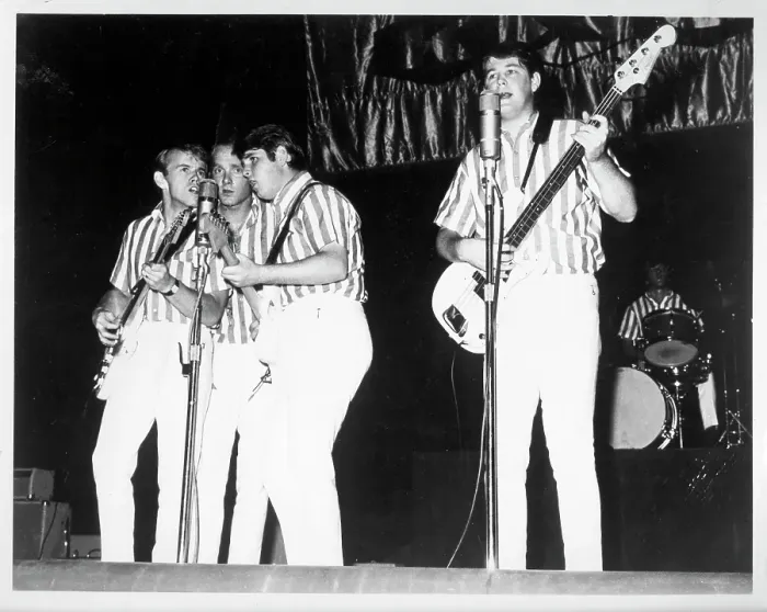 Framed Print : Beach Boys Performing Framed Print : Beach Boys Performing