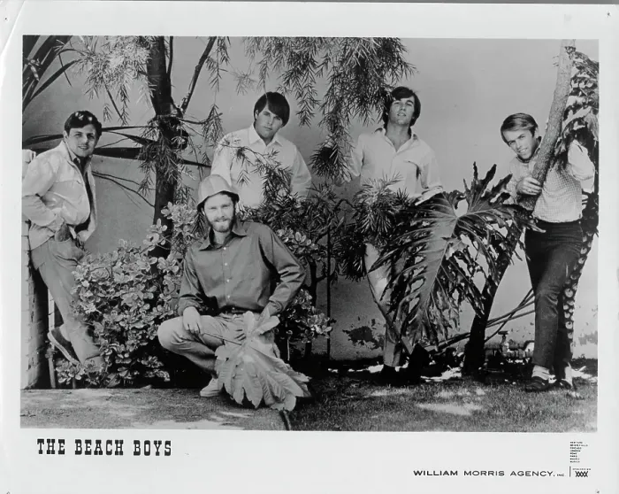 Framed Print : Beach Boys Portrait Framed Print : Beach Boys Portrait