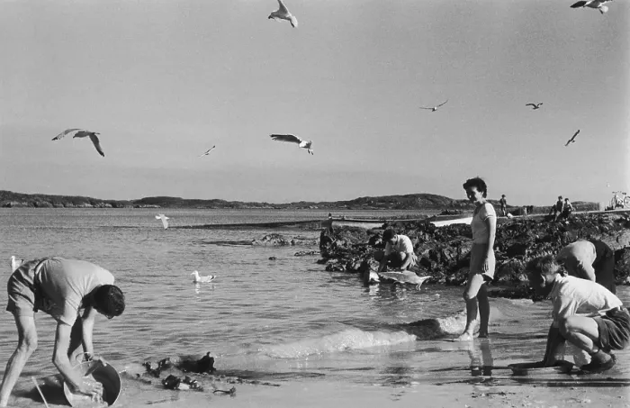 Framed Print : Beach On Iona Framed Print : Beach On Iona