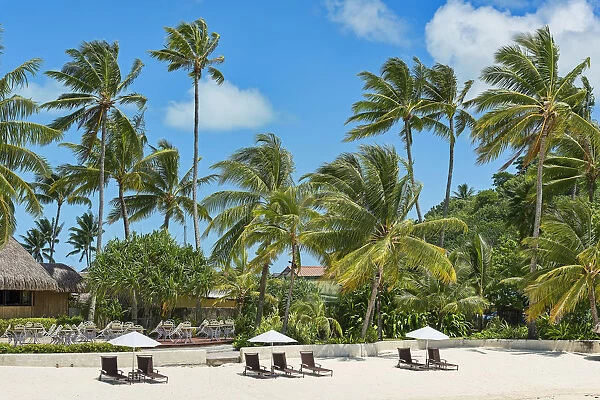 Beach with palm trees, Bora Bora, French Polynesia