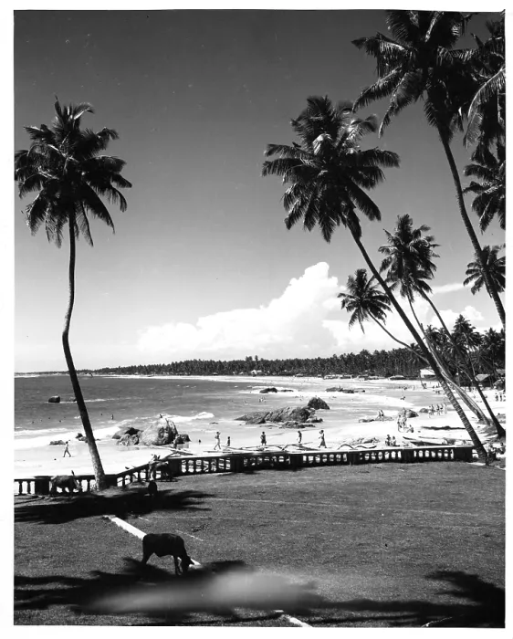 Framed Print : BEACH OF SRI LANKA Framed Print : BEACH OF SRI LANKA