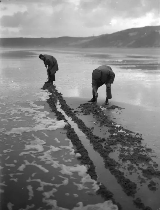 Framed Print : Beachcombers Framed Print : Beachcombers