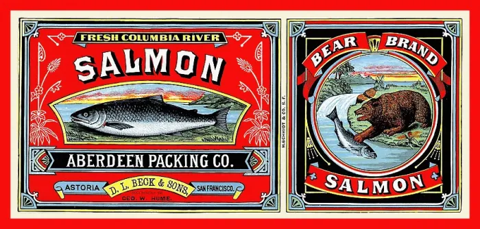 Framed Print : Bear Brand Salmon Framed Print : Bear Brand Salmon