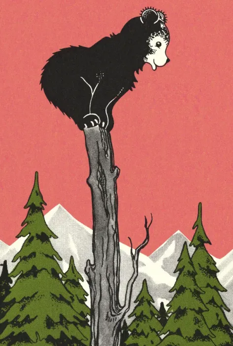 Framed Print : Bear Cub Standing on a Tree Stump