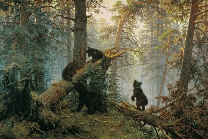 Framed Print : Bears in the Forest Morning Framed Print : Bears in the Forest Morning