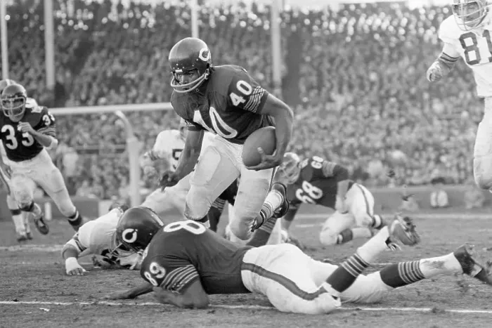 Framed Print : Bears Gayle Sayers Rushing During A Game Framed Print : Bears Gayle Sayers Rushing During A Game