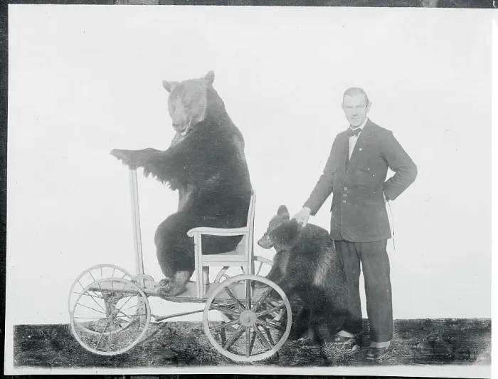 Framed Print : Bears Riding a Go-Cart Framed Print : Bears Riding a Go-Cart