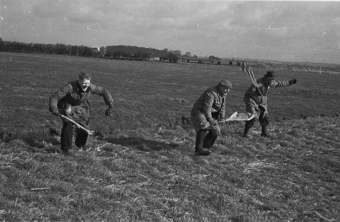 Framed Print : Beaters. 20th March 1943: Beaters wave yellow flags to drive hares onto Framed Print : Beaters. 20th March 1943: Beaters wave yellow flags to drive hares onto