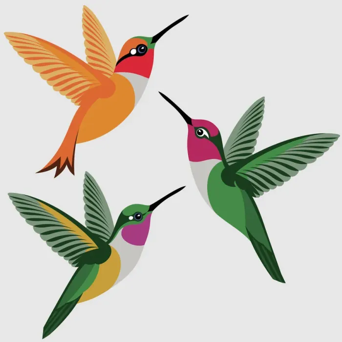 Framed Print : Beautiful Bird Species, 619658024 Framed Print : Beautiful Bird Species, 619658024