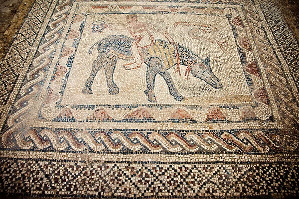 Beautiful mosaics at Volubilis