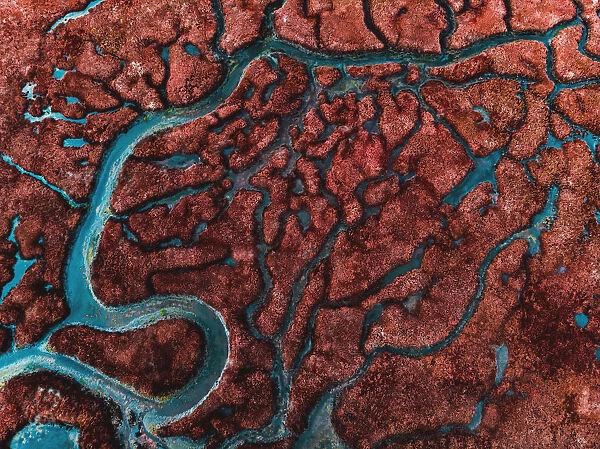 Beautiful pattern created by river delta taken from above