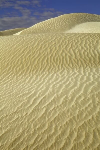 Beautiful sand dunes, Australia