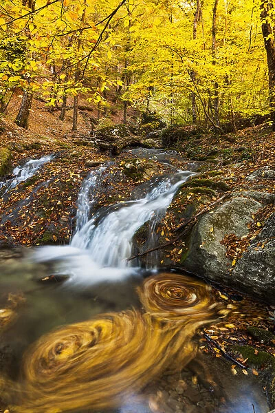 Beautiful waterfall in forest, autumn landscape